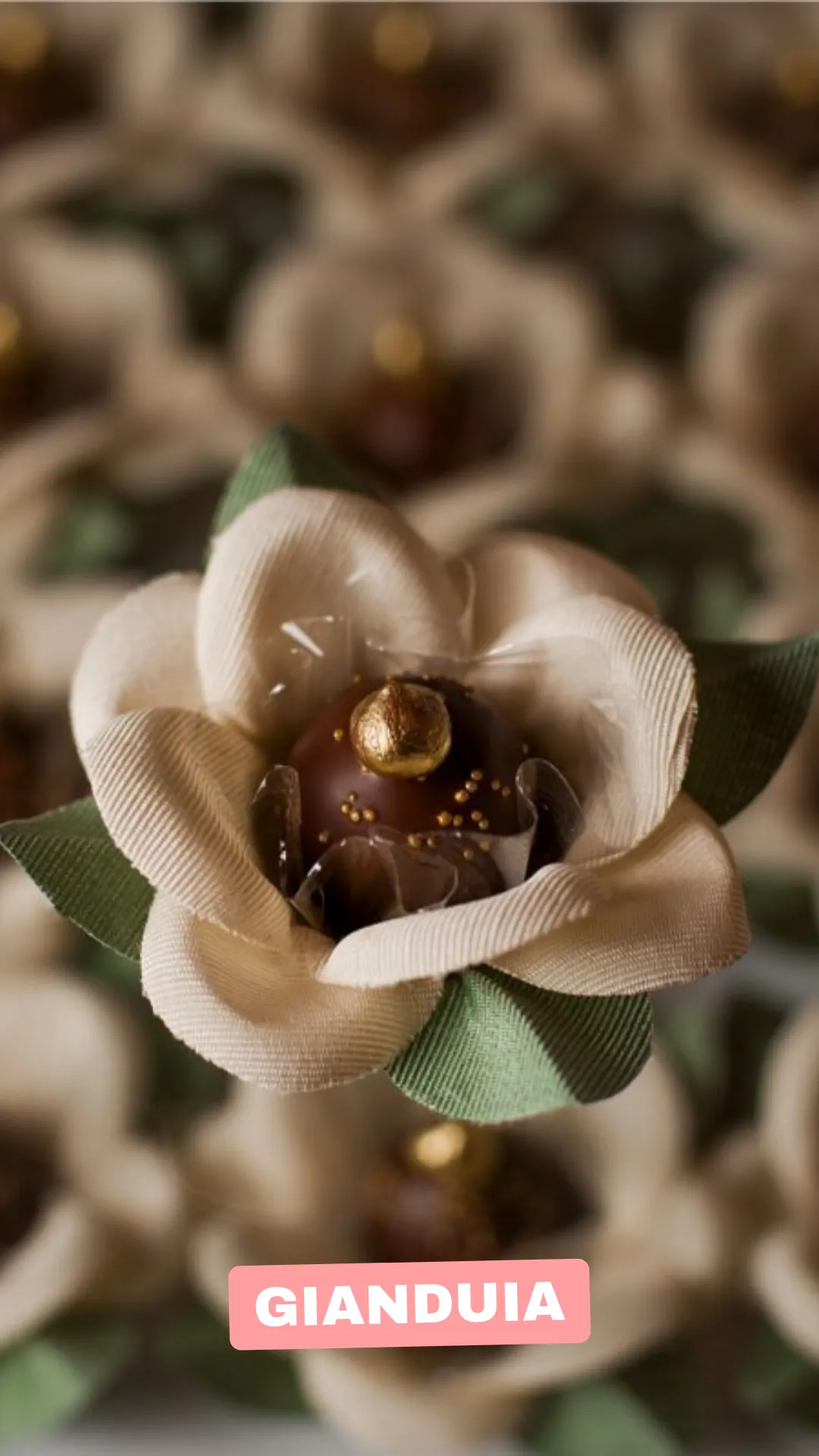 18 Gianduia webp