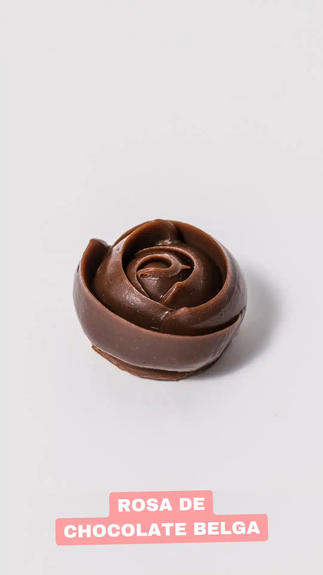24 Rosa de Chocolate Belga webp