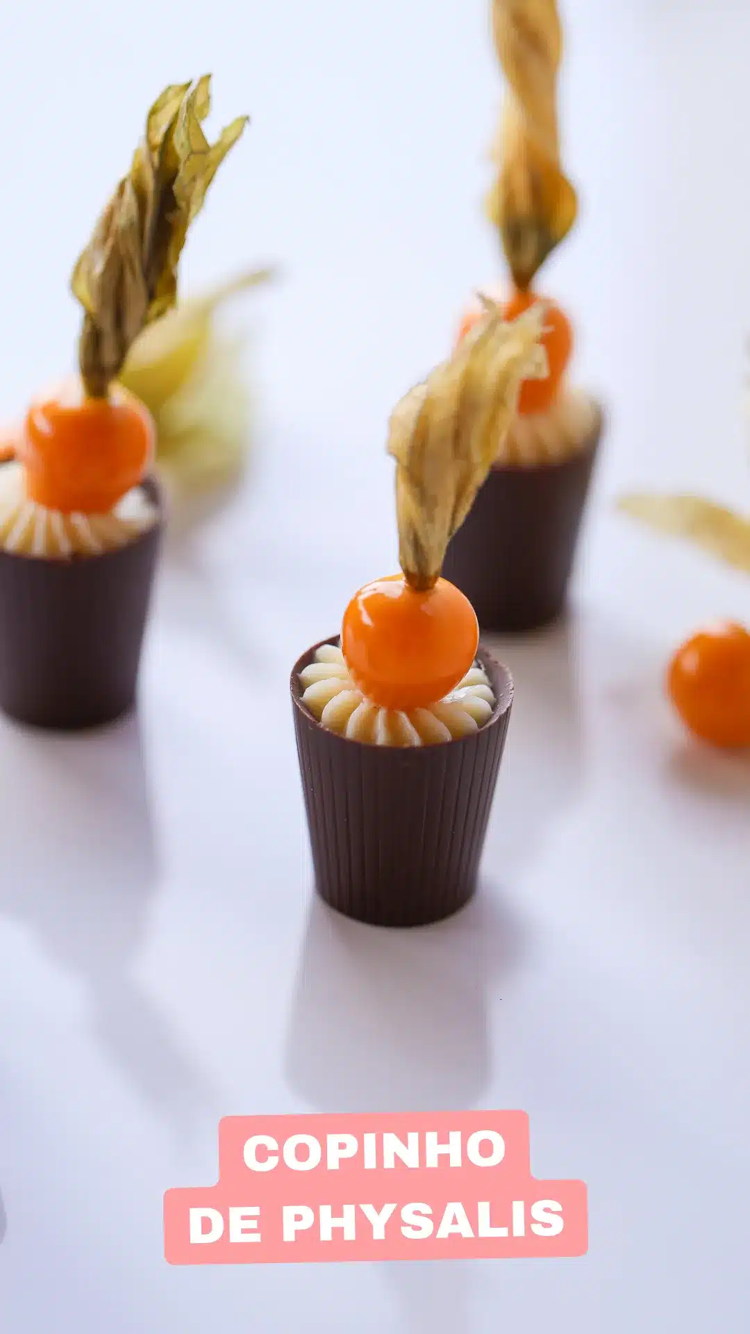 9 Copinho de Physalis webp